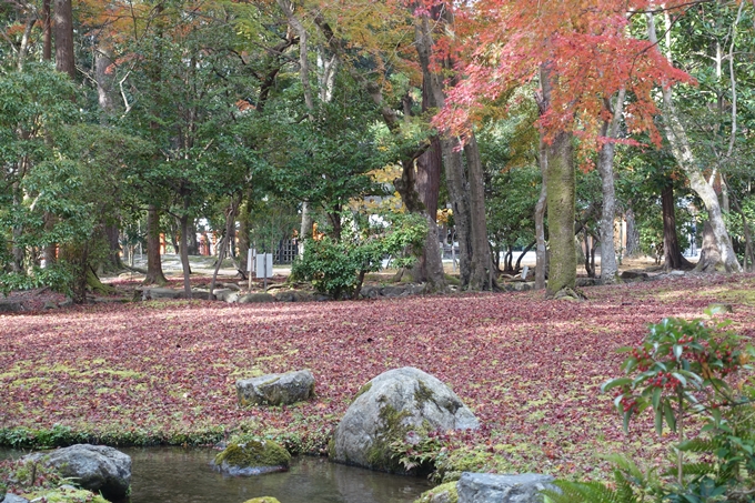 京都紅葉速報2018　その15 上賀茂神社　No16