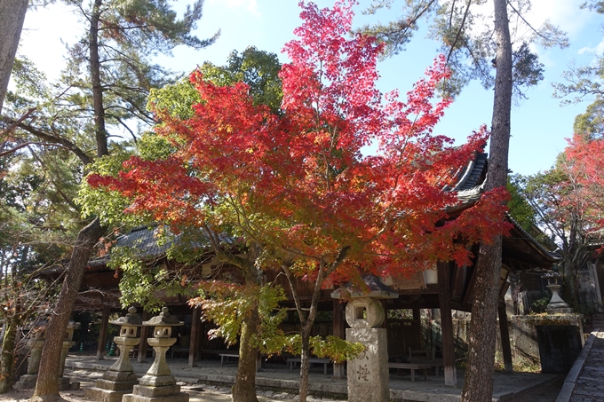 京都紅葉速報2018　その16　今宮神社・建勲神社　No6