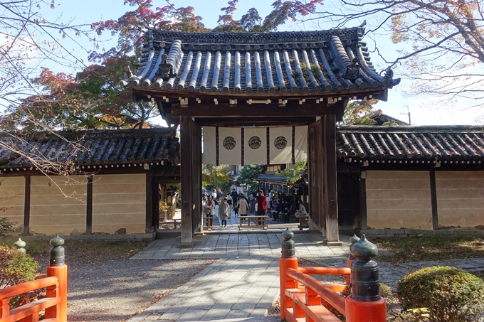 京都紅葉速報2018　その16　今宮神社・建勲神社　No9