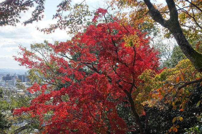 京都紅葉速報2018　その16　今宮神社・建勲神社　No12