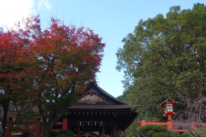 京都紅葉速報2018　その16　今宮神社・建勲神社　No13