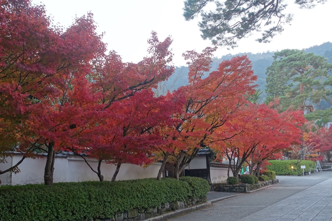 京都紅葉速報2018　その18　南禅寺・哲学の道　No5