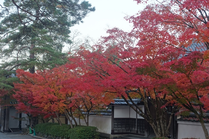 京都紅葉速報2018　その18　南禅寺・哲学の道　No6