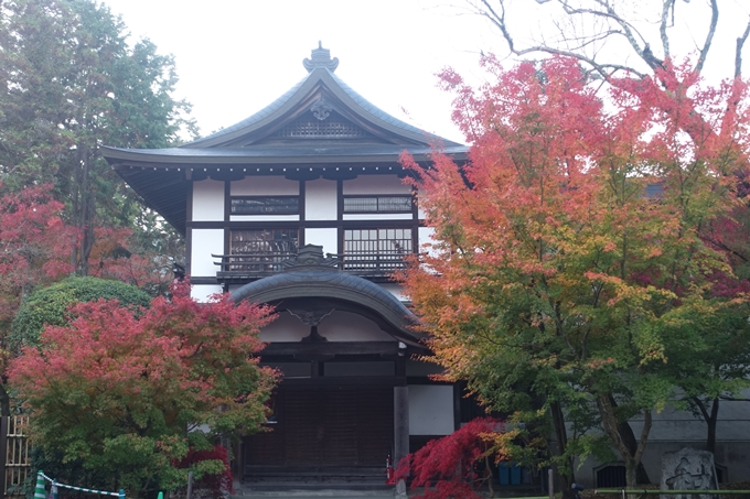 京都紅葉速報2018　その18　南禅寺・哲学の道　No9