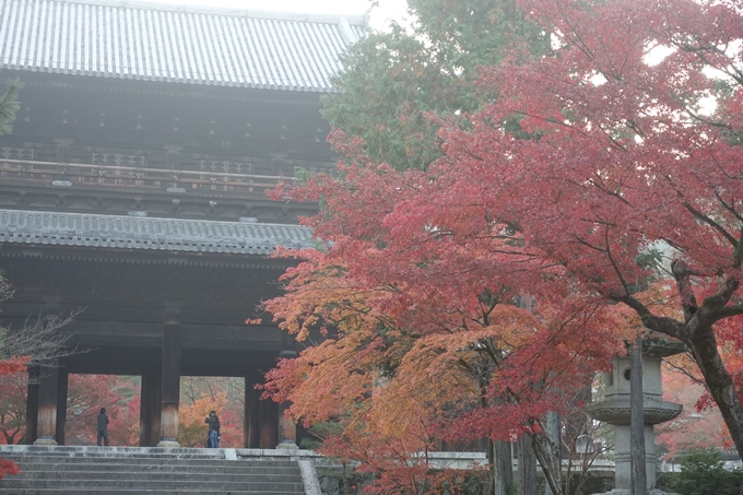 京都紅葉速報2018　その18　南禅寺・哲学の道　No21