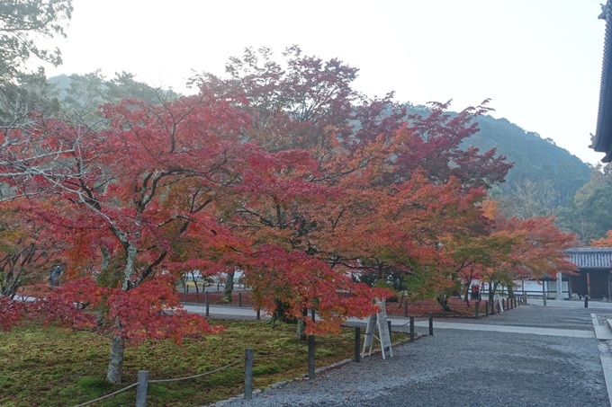 京都紅葉速報2018　その18　南禅寺・哲学の道　No23