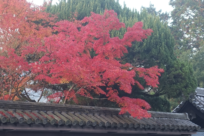 京都紅葉速報2018　その18　南禅寺・哲学の道　No24