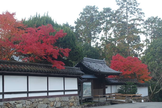 京都紅葉速報2018　その18　南禅寺・哲学の道　No25