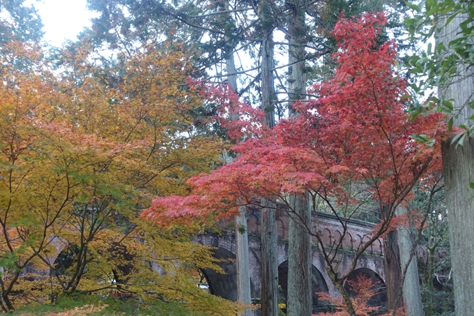 京都紅葉速報2018　その18　南禅寺・哲学の道　No29