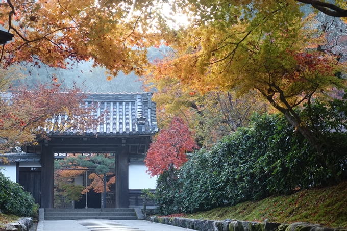 京都紅葉速報2018　その18　南禅寺・哲学の道　No38