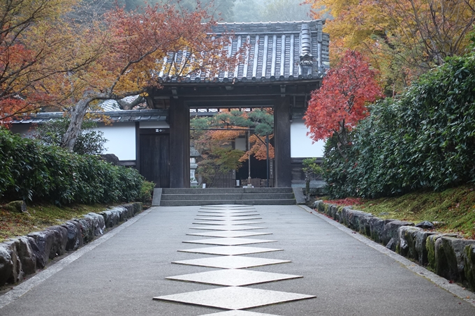 京都紅葉速報2018　その18　南禅寺・哲学の道　No39