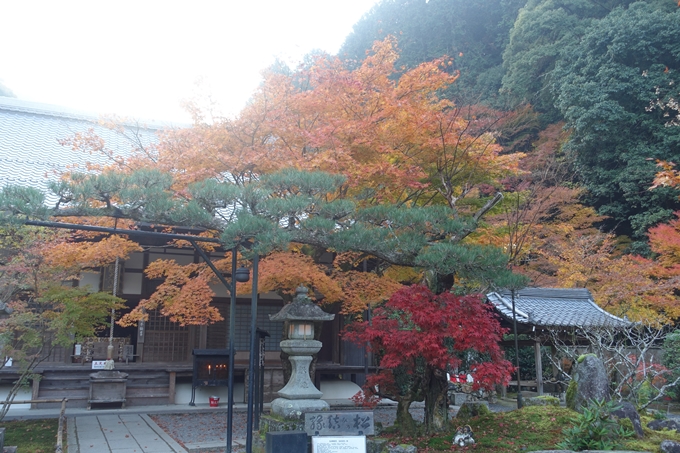 京都紅葉速報2018　その18　南禅寺・哲学の道　No40