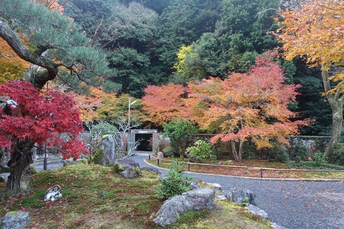 京都紅葉速報2018　その18　南禅寺・哲学の道　No41