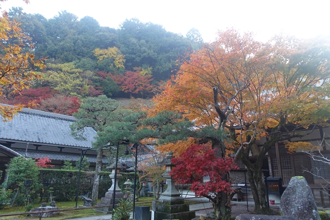 京都紅葉速報2018　その18　南禅寺・哲学の道　No43