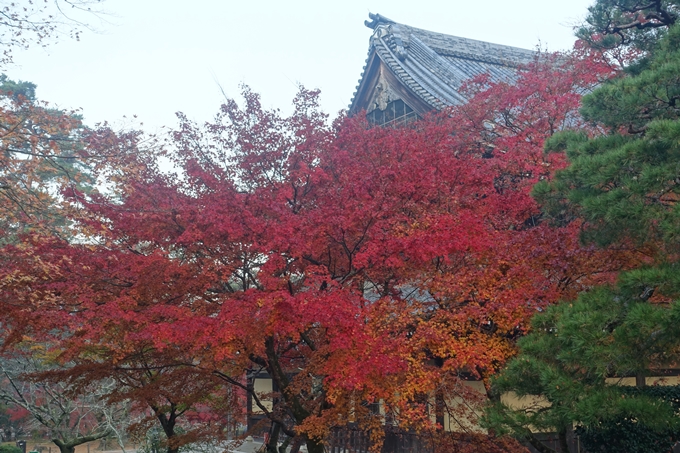 京都紅葉速報2018　その18　南禅寺・哲学の道　No30