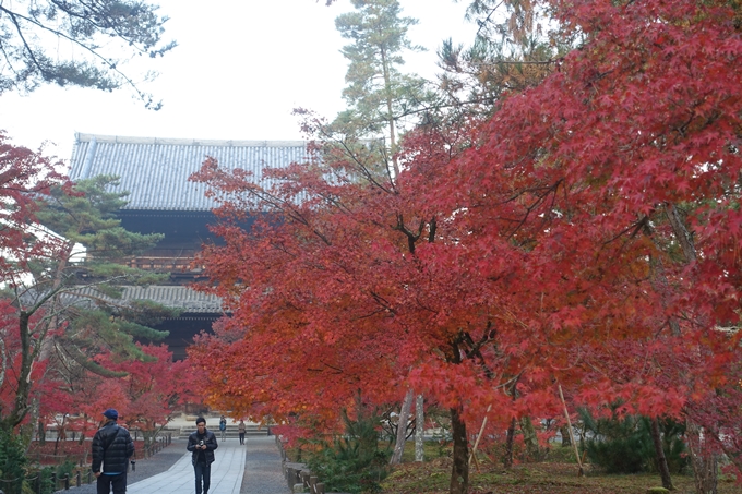 京都紅葉速報2018　その18　南禅寺・哲学の道　No31