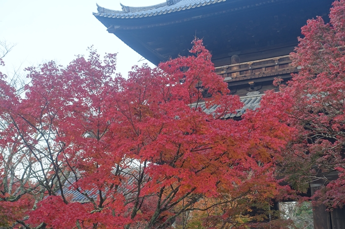 京都紅葉速報2018　その18　南禅寺・哲学の道　No34