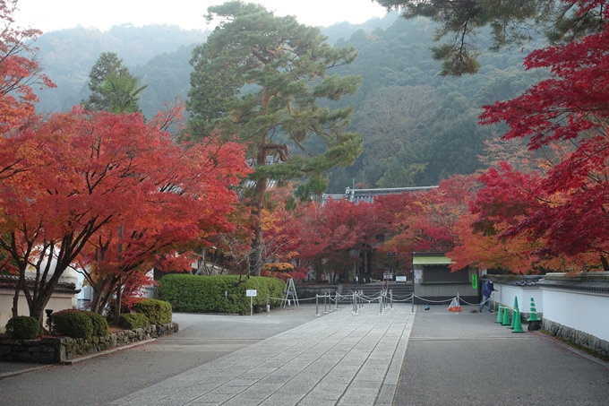 京都紅葉速報2018　その18　南禅寺・哲学の道　No16