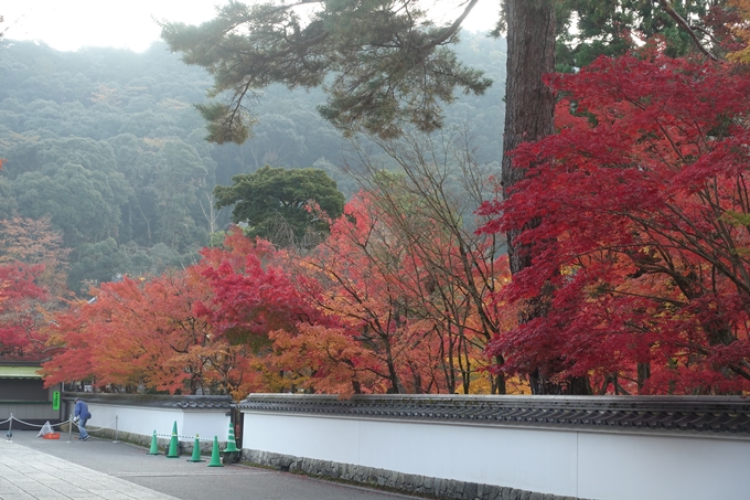 京都紅葉速報2018　その18　南禅寺・哲学の道　No17