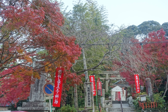 京都紅葉速報2018　その18　南禅寺・哲学の道　No46