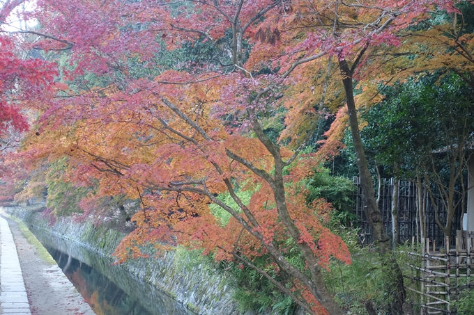 京都紅葉速報2018　その18　南禅寺・哲学の道　No56