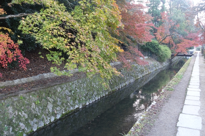 京都紅葉速報2018　その18　南禅寺・哲学の道　No59