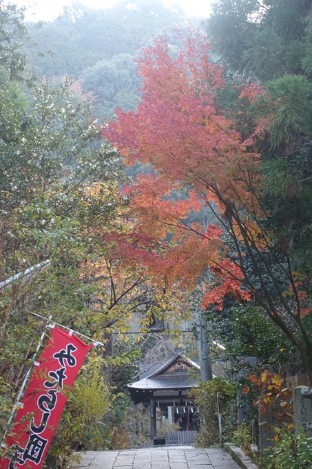 京都紅葉速報2018　その18　南禅寺・哲学の道　No70