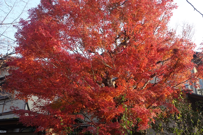 京都紅葉速報2018　その18　南禅寺・哲学の道　No63