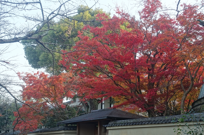 京都紅葉速報2018　その18　南禅寺・哲学の道　No65