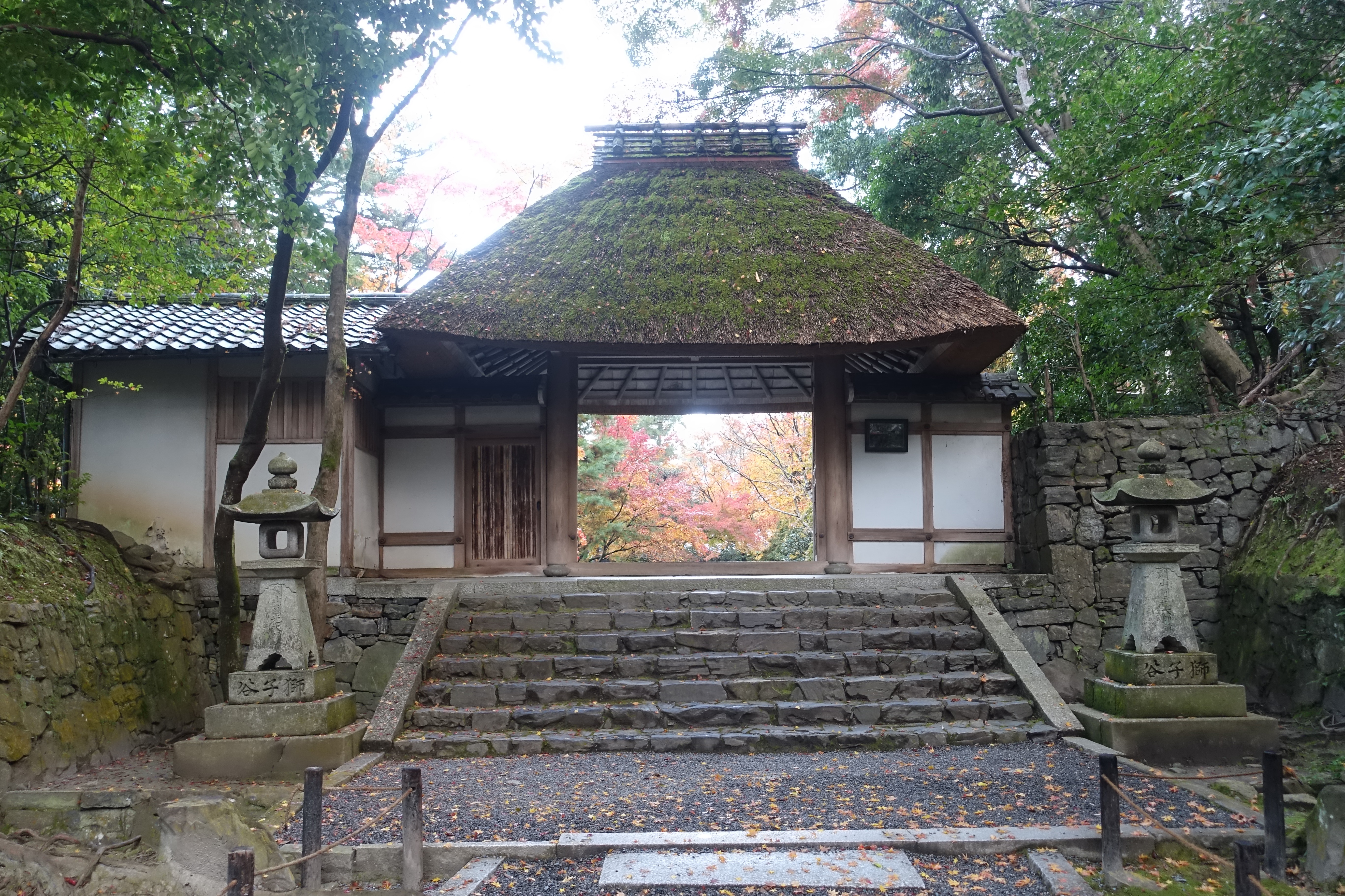 京都紅葉速報2018　その19　法然院・安楽寺　No4