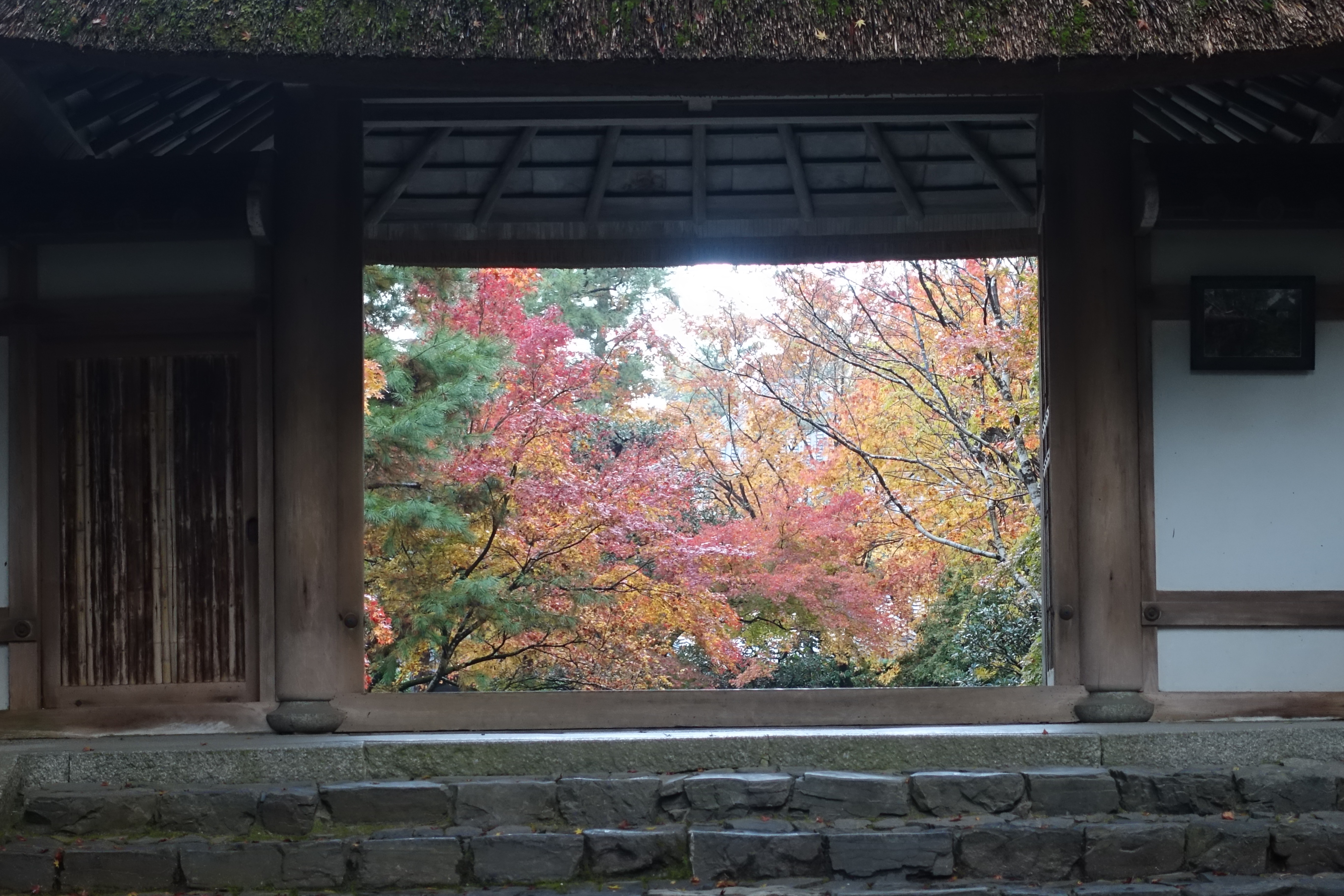 京都紅葉速報2018　その19　法然院・安楽寺　No5