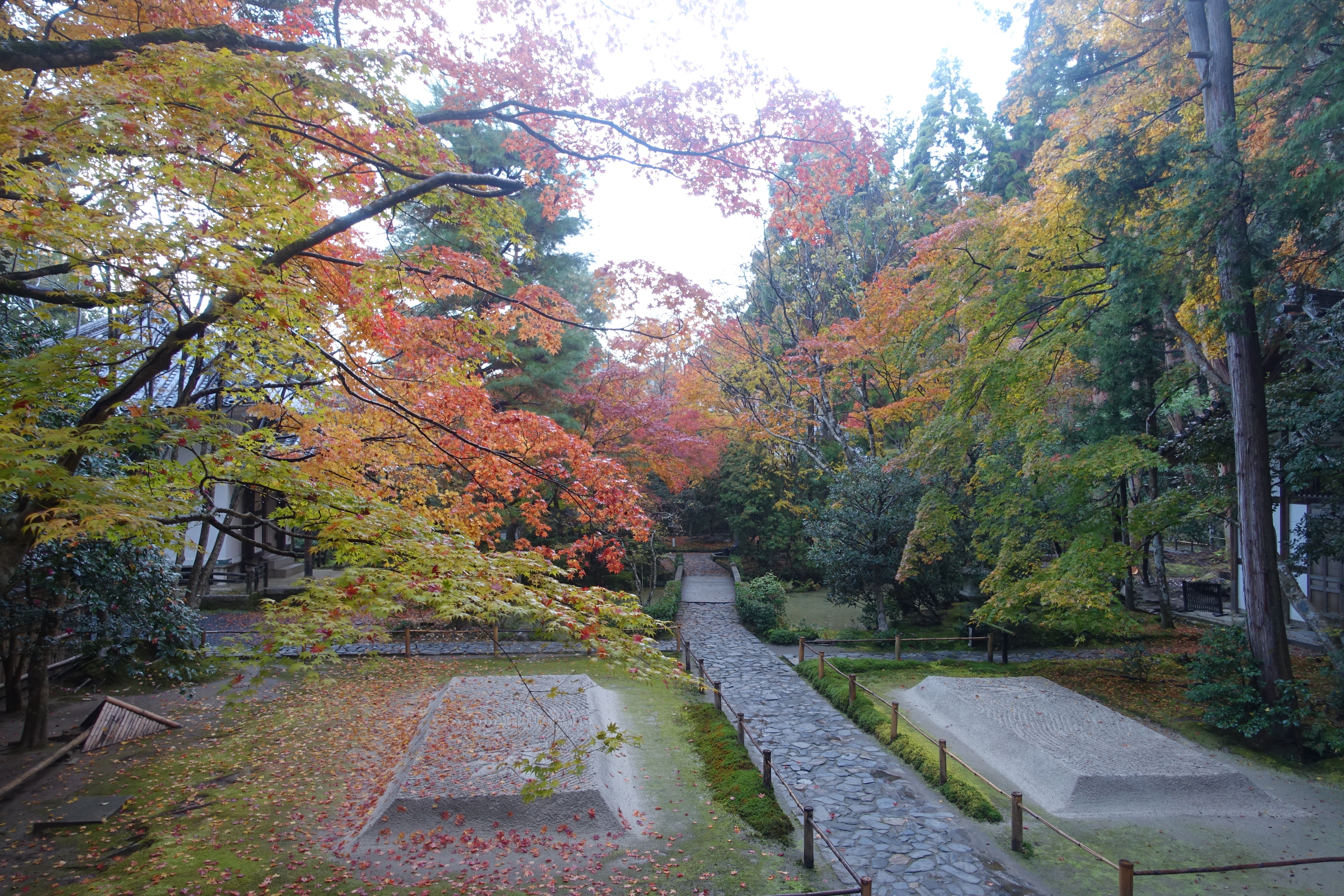 京都紅葉速報2018　その19　法然院・安楽寺　No6