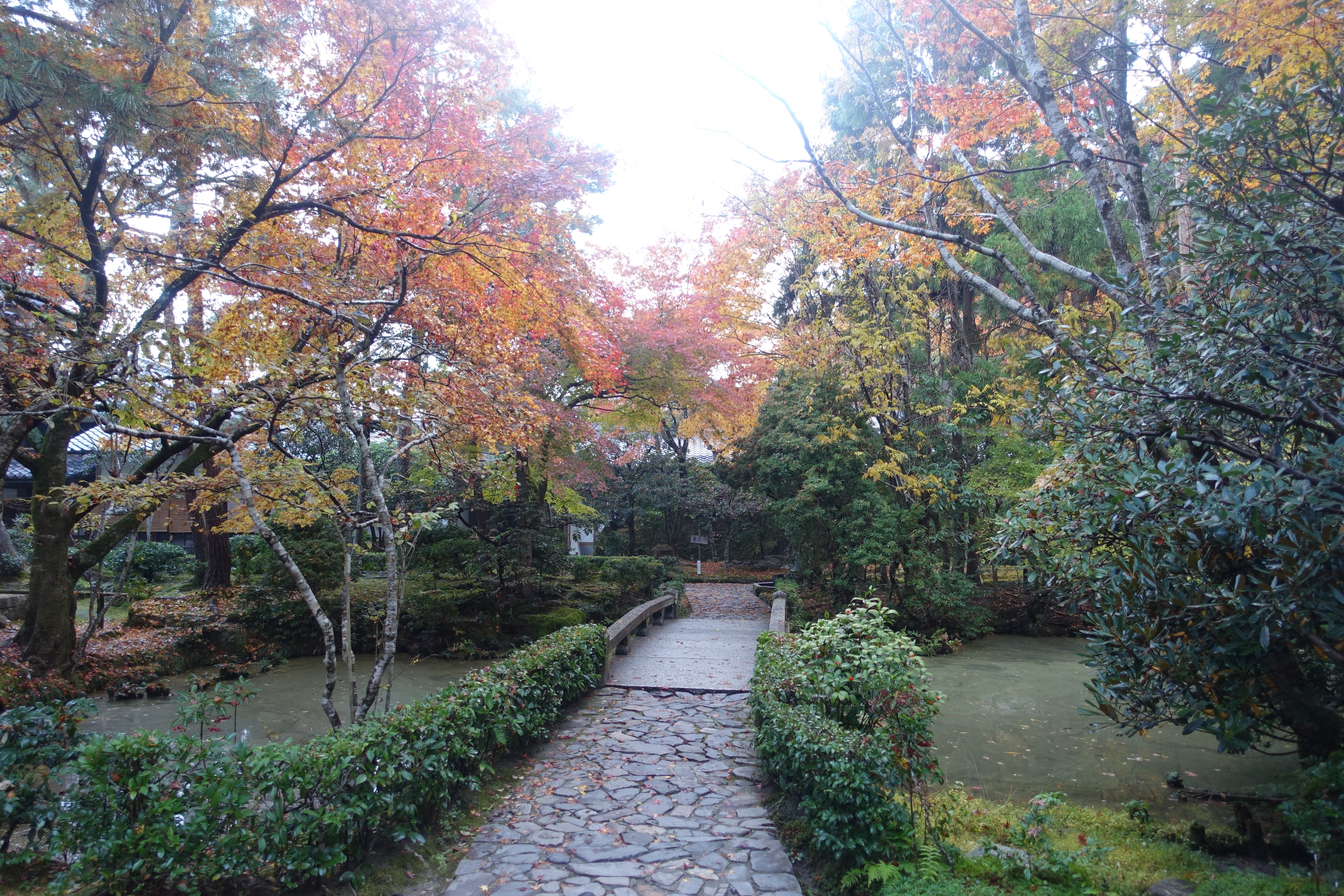 京都紅葉速報2018　その19　法然院・安楽寺　No8