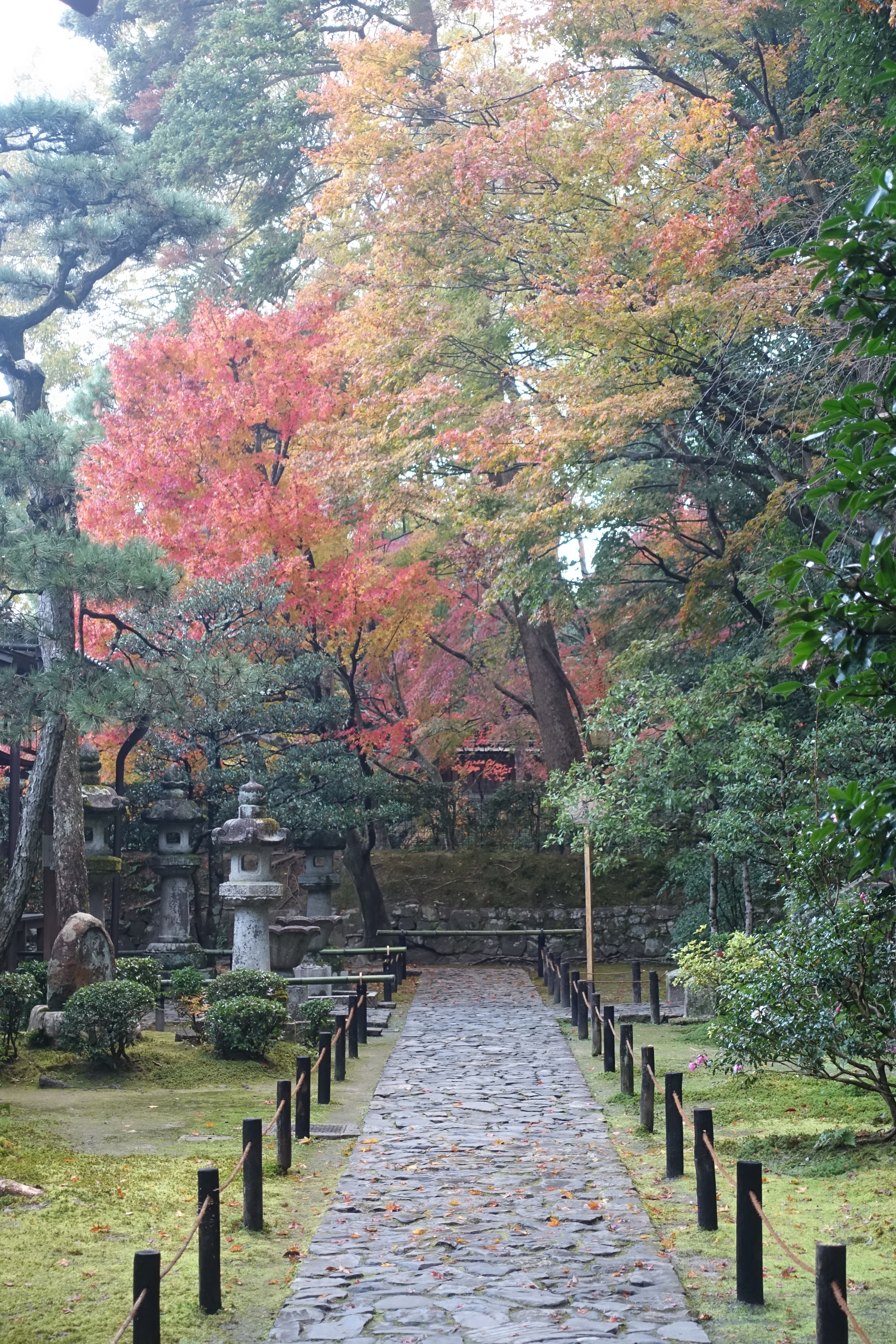 京都紅葉速報2018　その19　法然院・安楽寺　No9