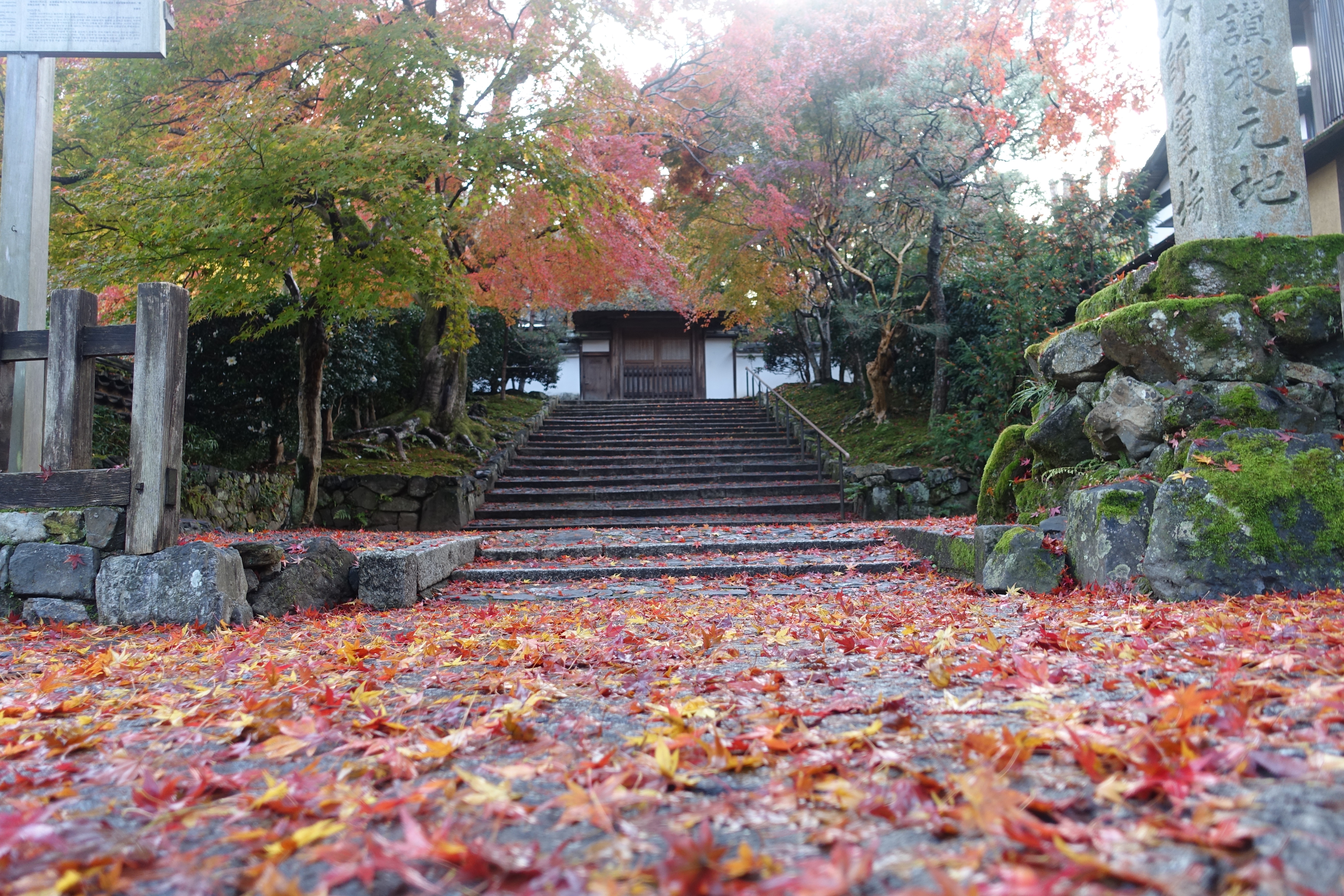 京都紅葉速報2018　その19　法然院・安楽寺　No25