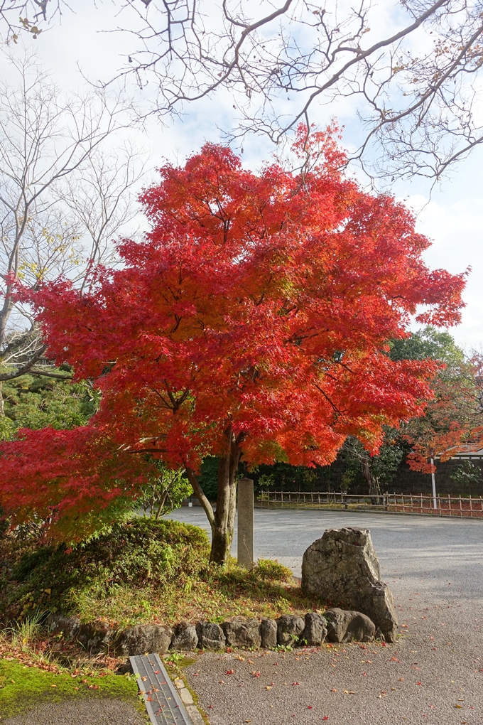 京都紅葉速報2018　その20　天龍寺・渡月橋・松尾大社　No2