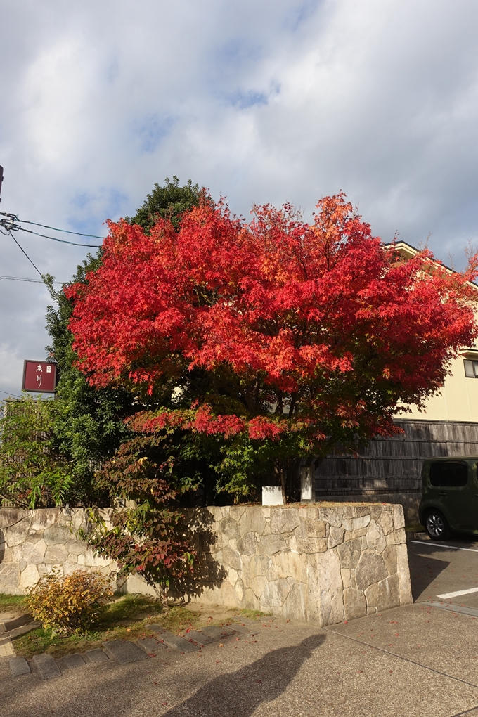 京都紅葉速報2018　その20　天龍寺・渡月橋・松尾大社　No3