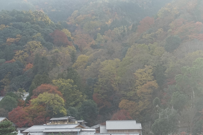 京都紅葉速報2018　その20　天龍寺・渡月橋・松尾大社　No8