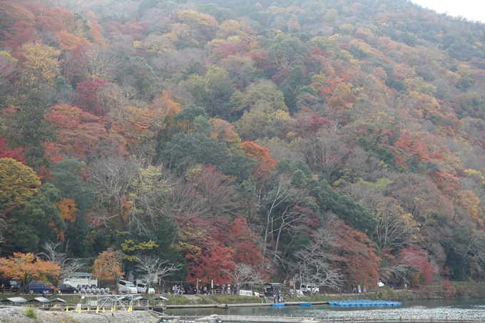 京都紅葉速報2018　その20　天龍寺・渡月橋・松尾大社　No9