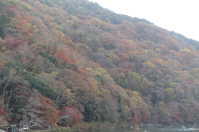 京都紅葉速報2018　その20　天龍寺・渡月橋・松尾大社　No10