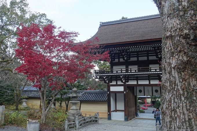 京都紅葉速報2018　その20　天龍寺・渡月橋・松尾大社　No16