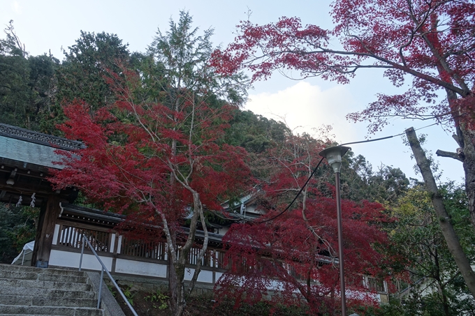 京都紅葉速報2018　その20　天龍寺・渡月橋・松尾大社　No17