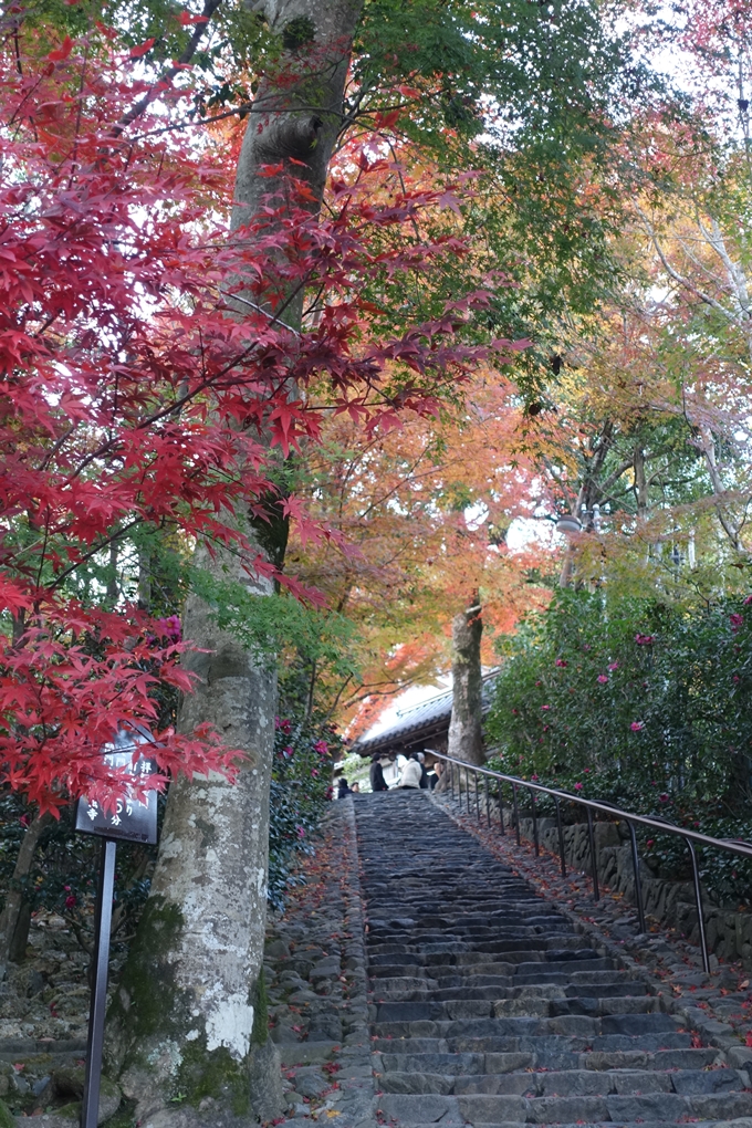 京都紅葉速報2018　その20　天龍寺・渡月橋・松尾大社　No20