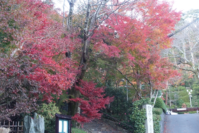 京都紅葉速報2018　その20　天龍寺・渡月橋・松尾大社　No21