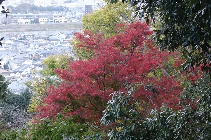 京都紅葉速報2018　その20　天龍寺・渡月橋・松尾大社　No42