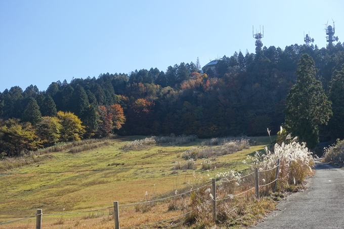 京都紅葉速報2018　その4　京都一周トレイル_東山・北山　No14