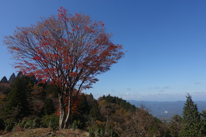 京都紅葉速報2018　その4　京都一周トレイル_東山・北山　No17