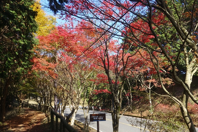 京都紅葉速報2018　その4　京都一周トレイル_東山・北山　No34