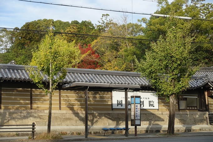 京都紅葉速報2018　その1　岡崎別院のイチョウ_02