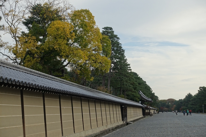 京都紅葉速報2018　その5　御所　No3